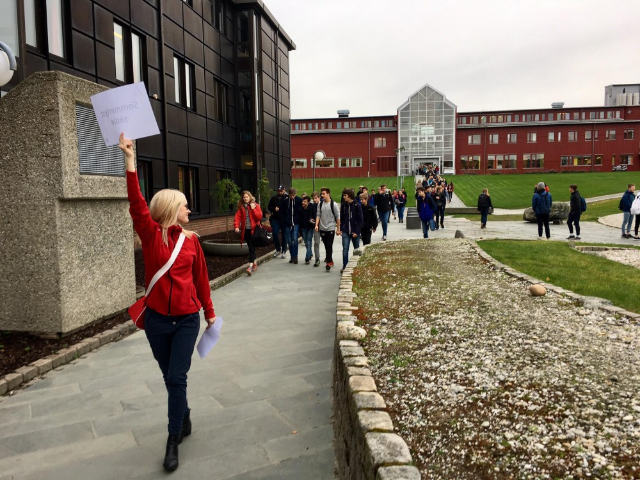 Jelajah Universitas Terbaik di Tromsø: Pusat Edukasi Unggul